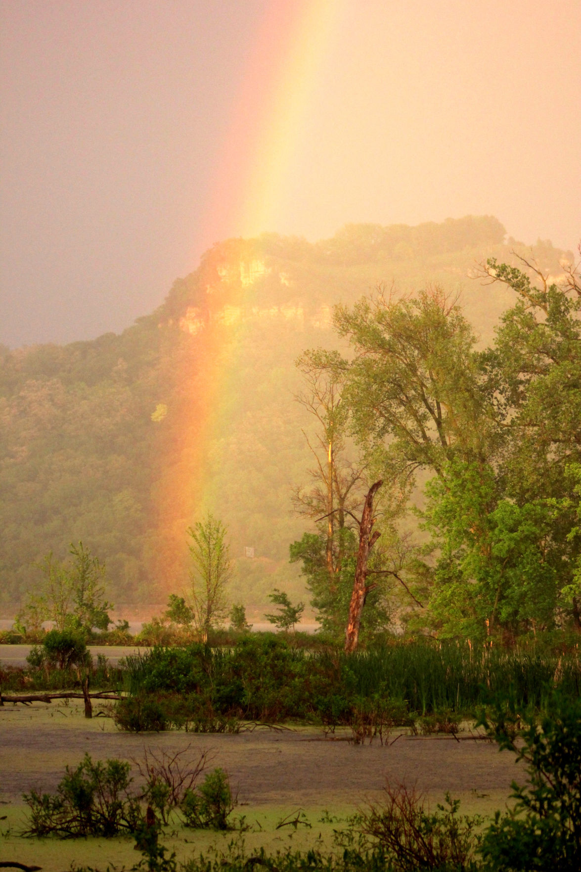 A marsh-y pot of gold